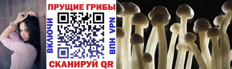 Галлюциногенные грибы GOLDEN TEACHER Боровск