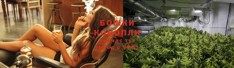 Каннабис THC 21%  где купить наркоту  Боровск 